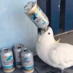 愤怒的液压钳的头像-拟人圈