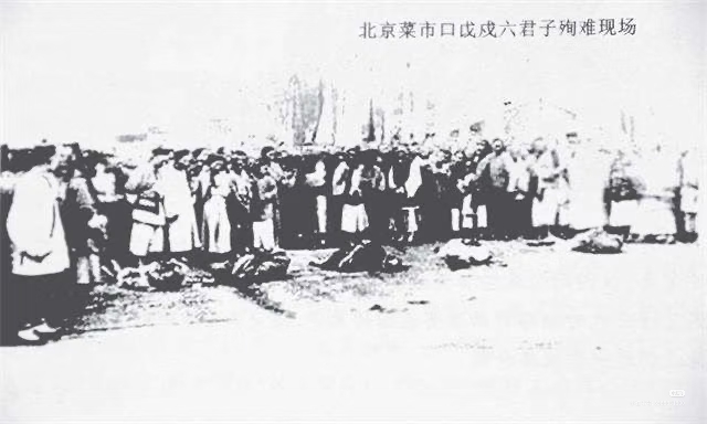 百日沉寂之终结-拟人圈