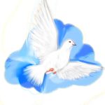 核平鸽Dove的头像-拟人圈