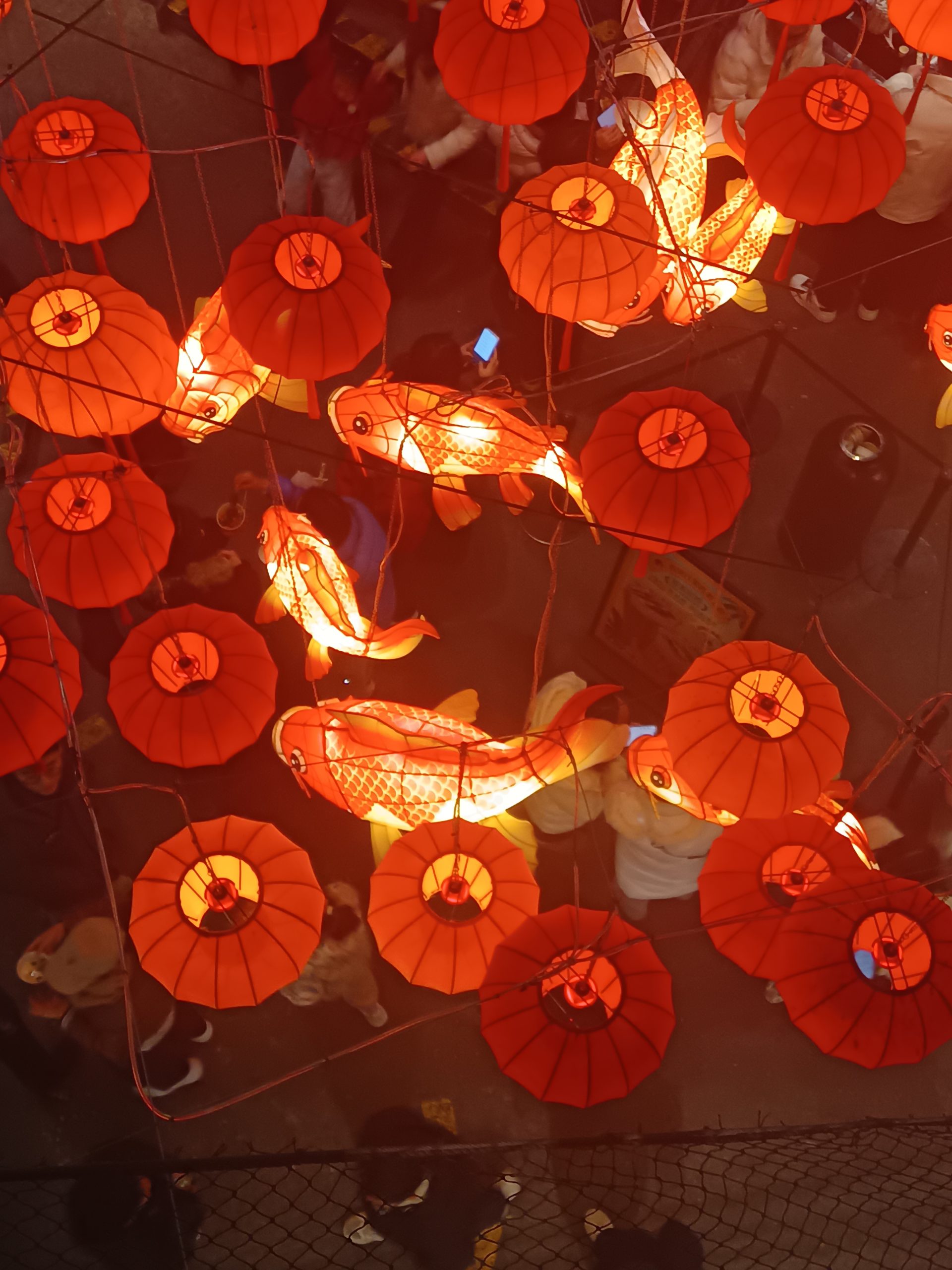 自我介绍-拟人圈