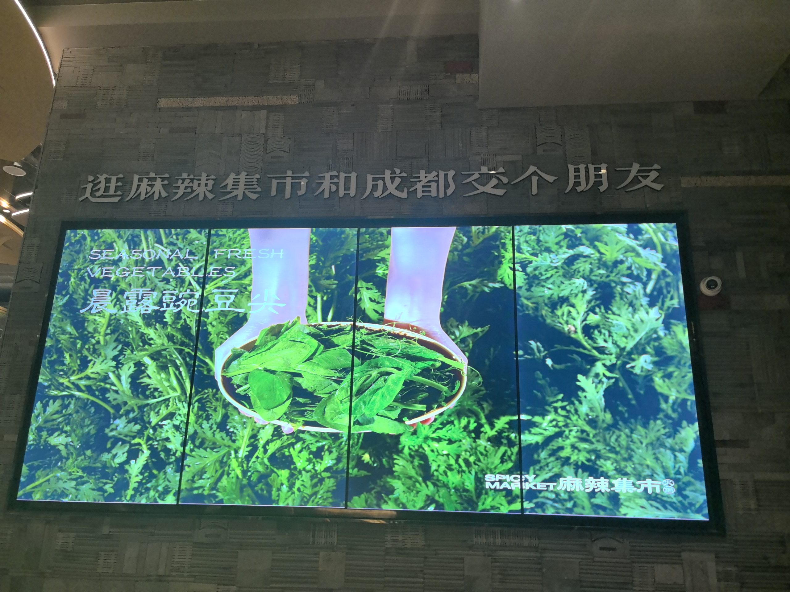 和成都交朋友，这个真不敢♂-拟人圈