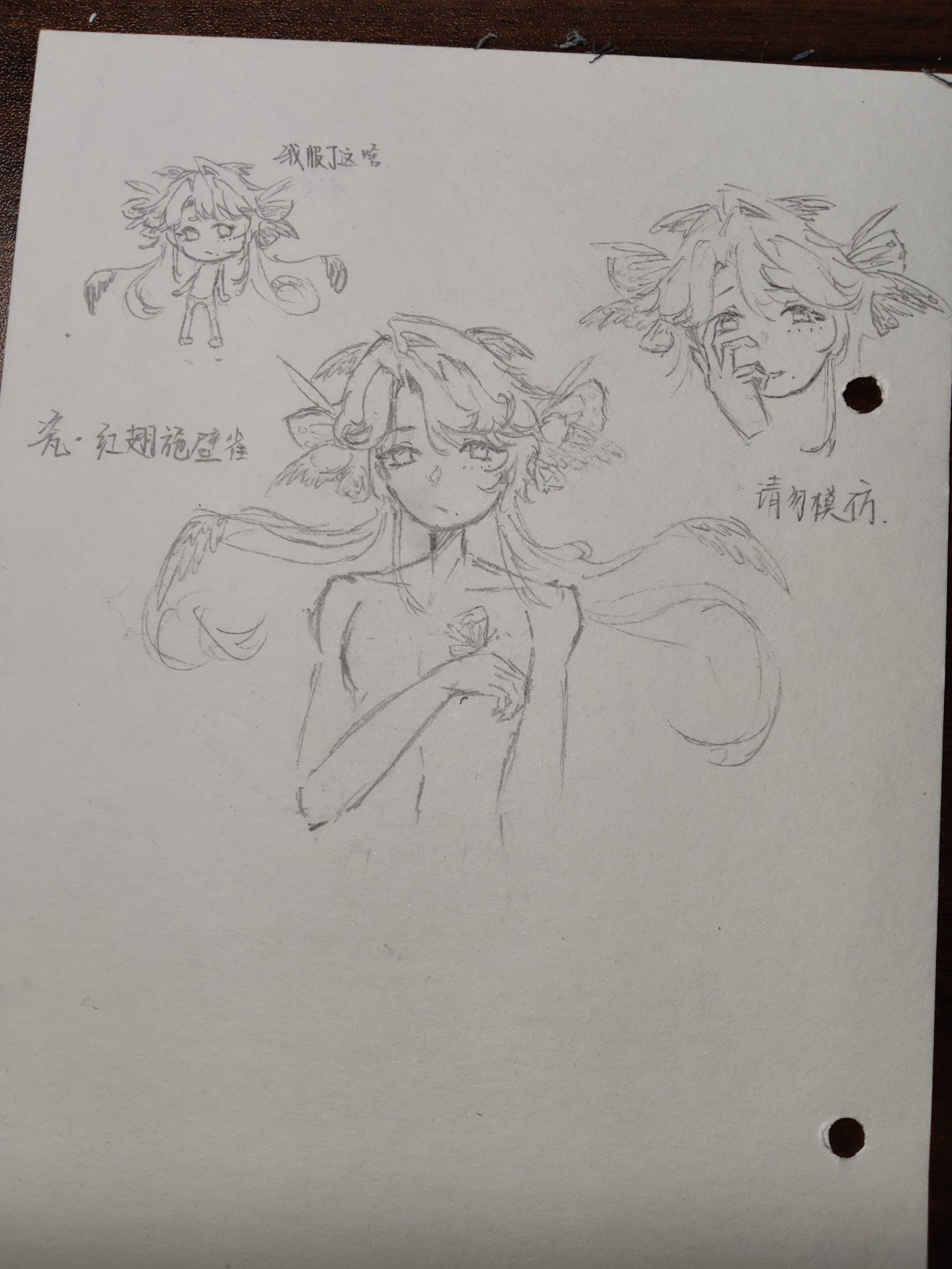 拟人圈