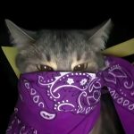 修正die的头像-拟人圈