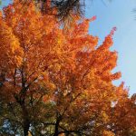 孤城的头像-拟人圈