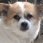 猫眼cateyes的头像-拟人圈