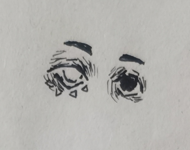 这是一双美丽的眼睛-拟人圈