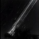 ✠Rechte und Wissen✠的头像-拟人圈