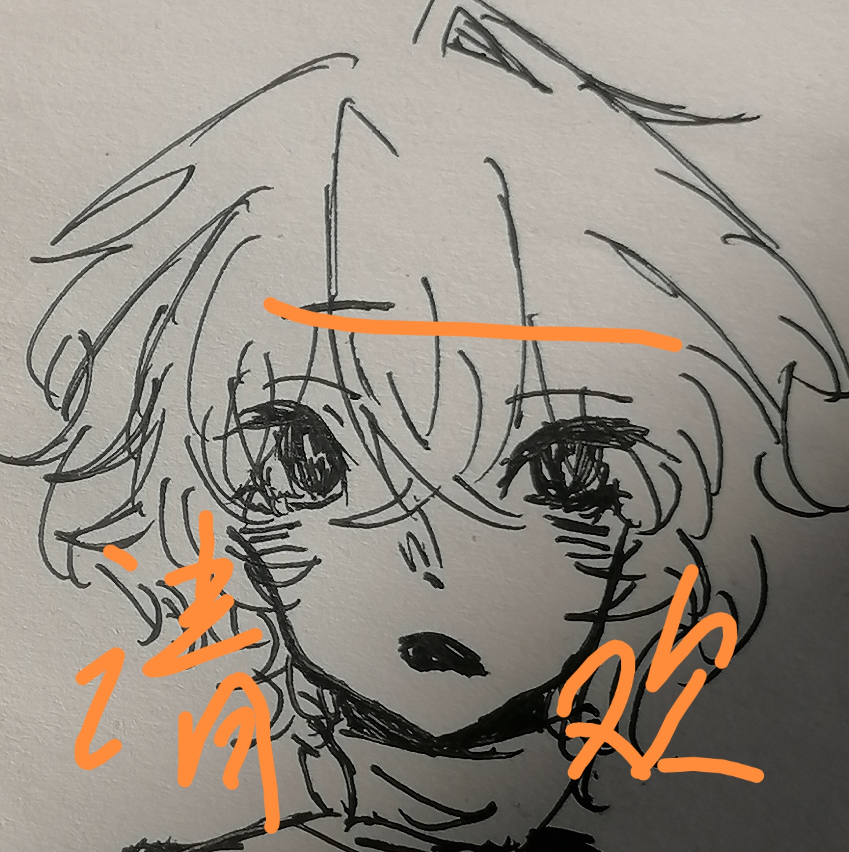 拟人圈