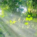 谦茉的头像-拟人圈