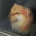 明天未知的头像-拟人圈