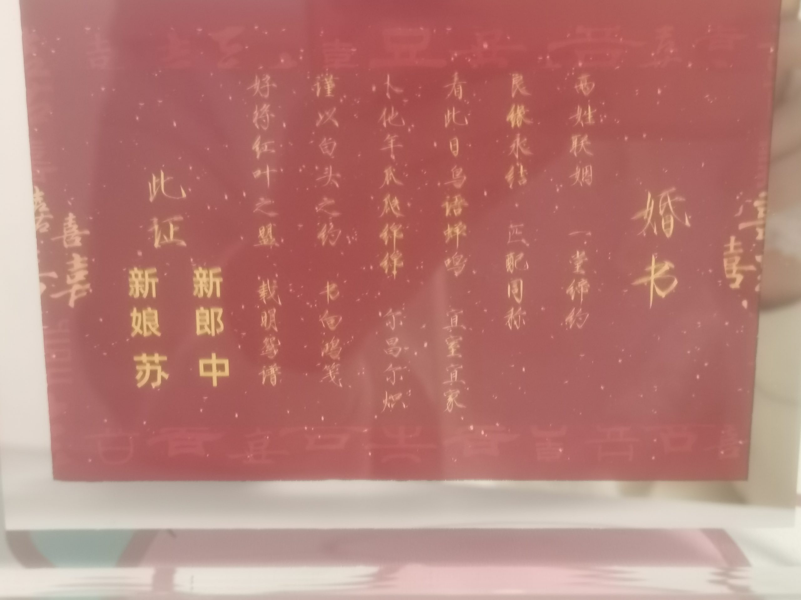 知道倒霉熊吗-拟人圈