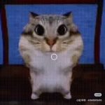 老奶我不想上学的头像-拟人圈