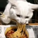 桂谟的头像-拟人圈