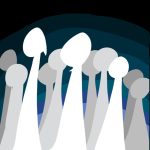 阴雨天的蛀虫的头像-拟人圈