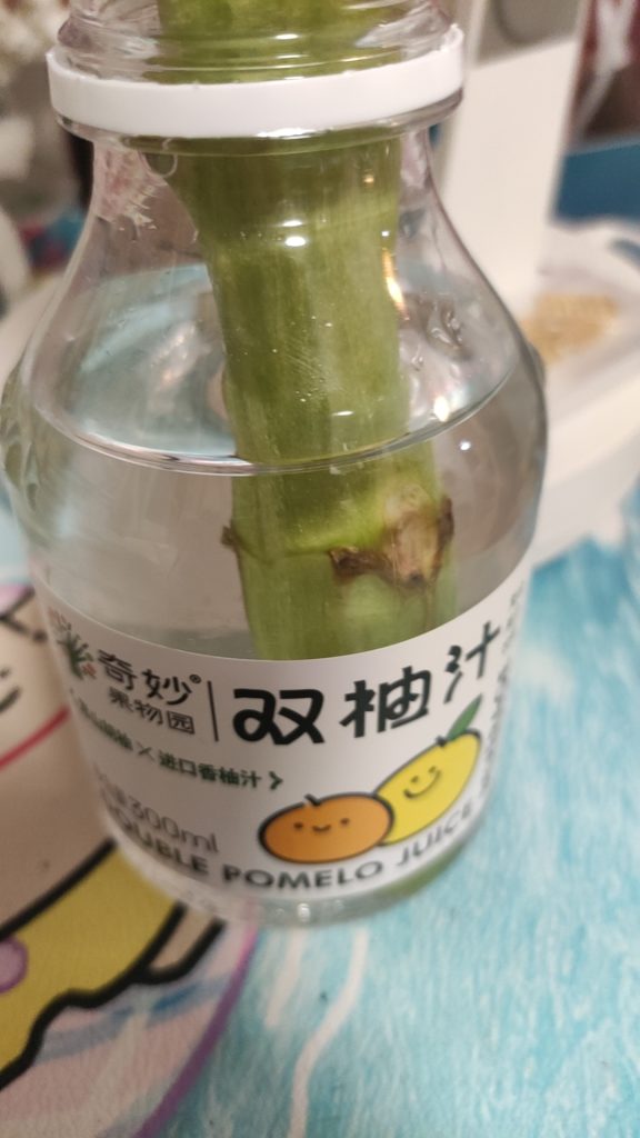 评论图片-拟人圈