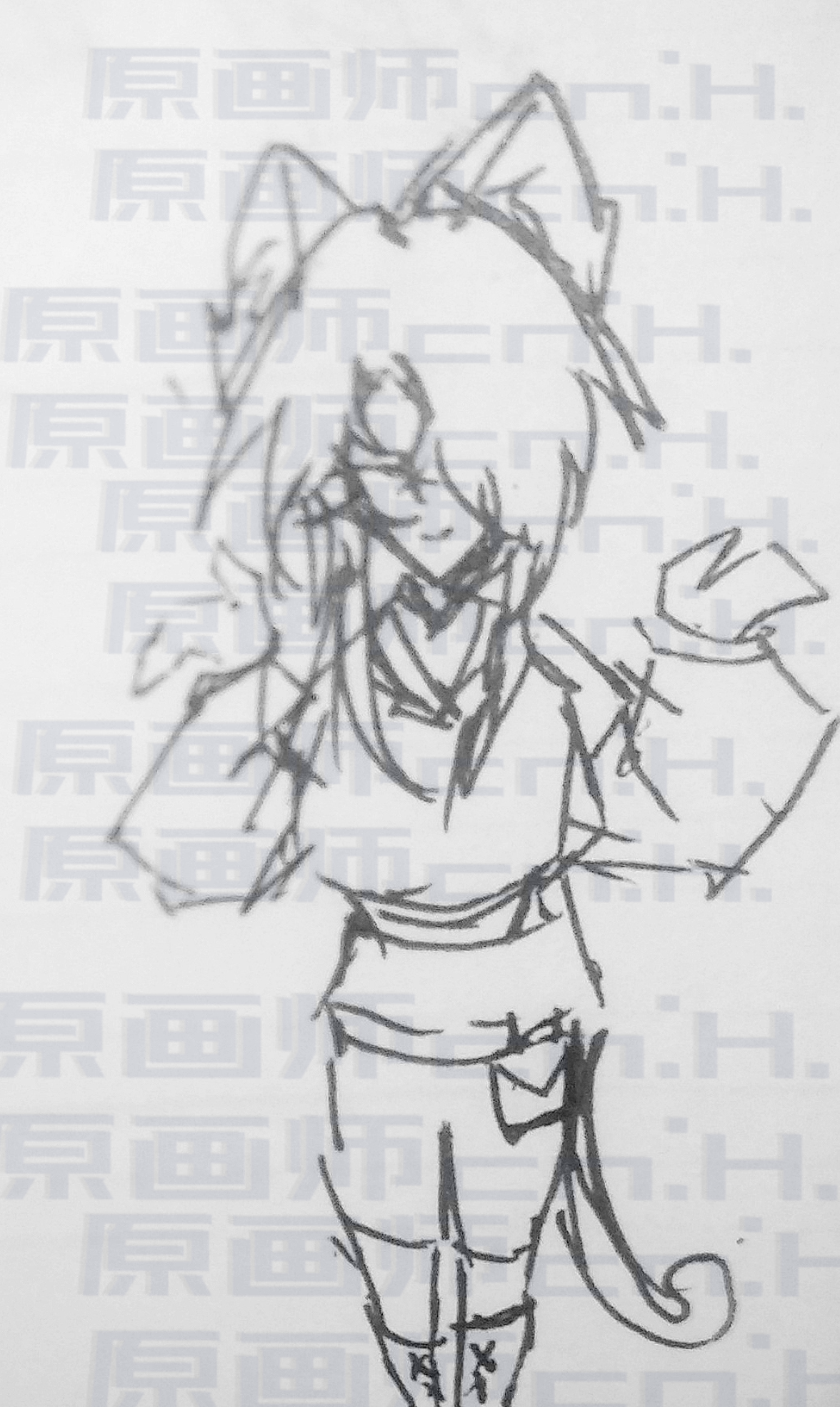 拟人圈