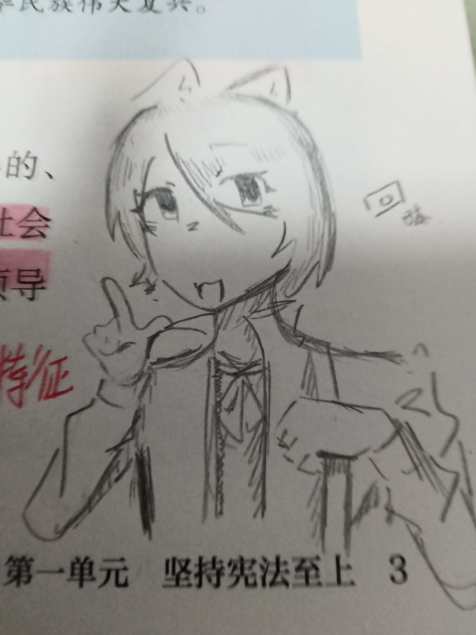 拟人圈