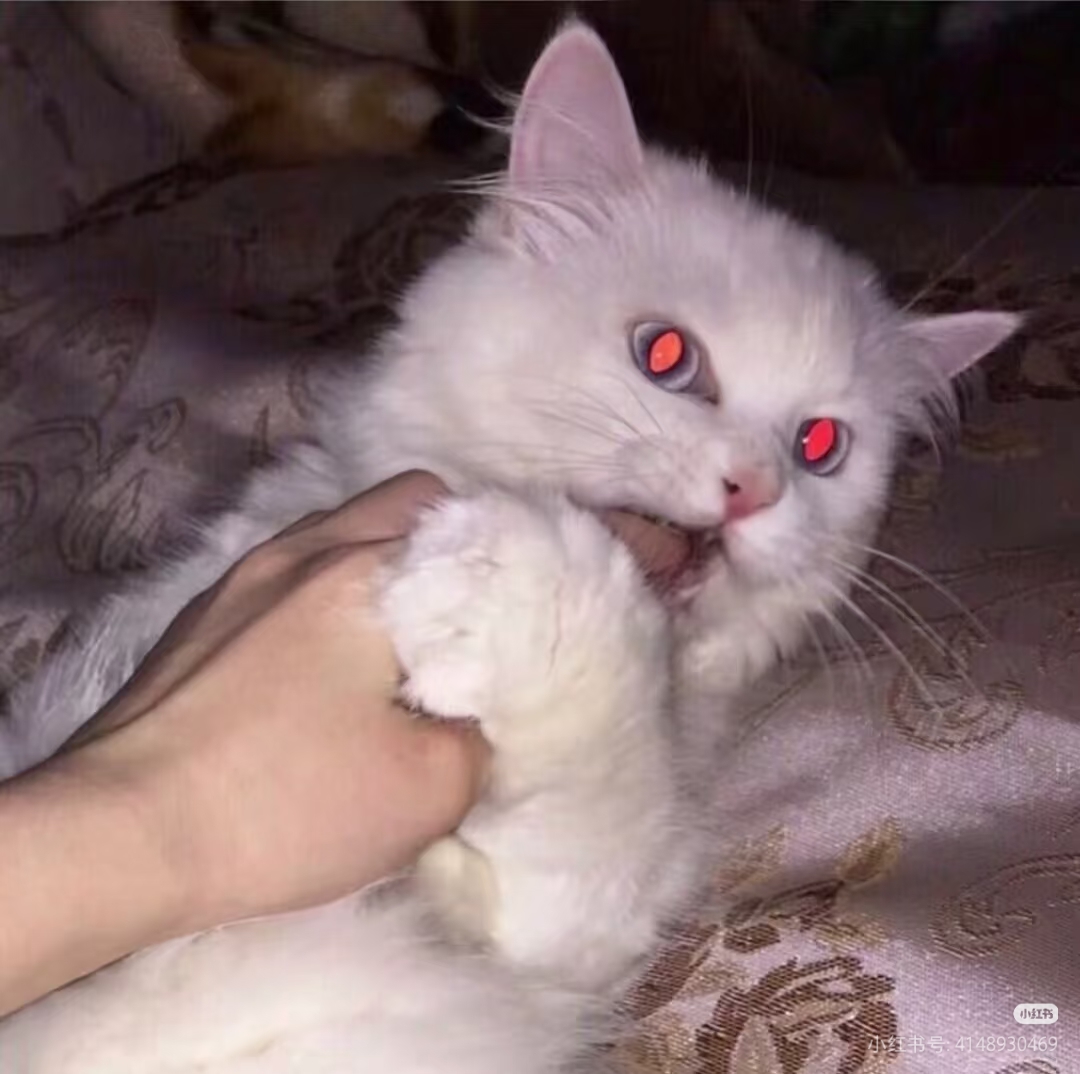 有没有推荐的老师？-拟人圈