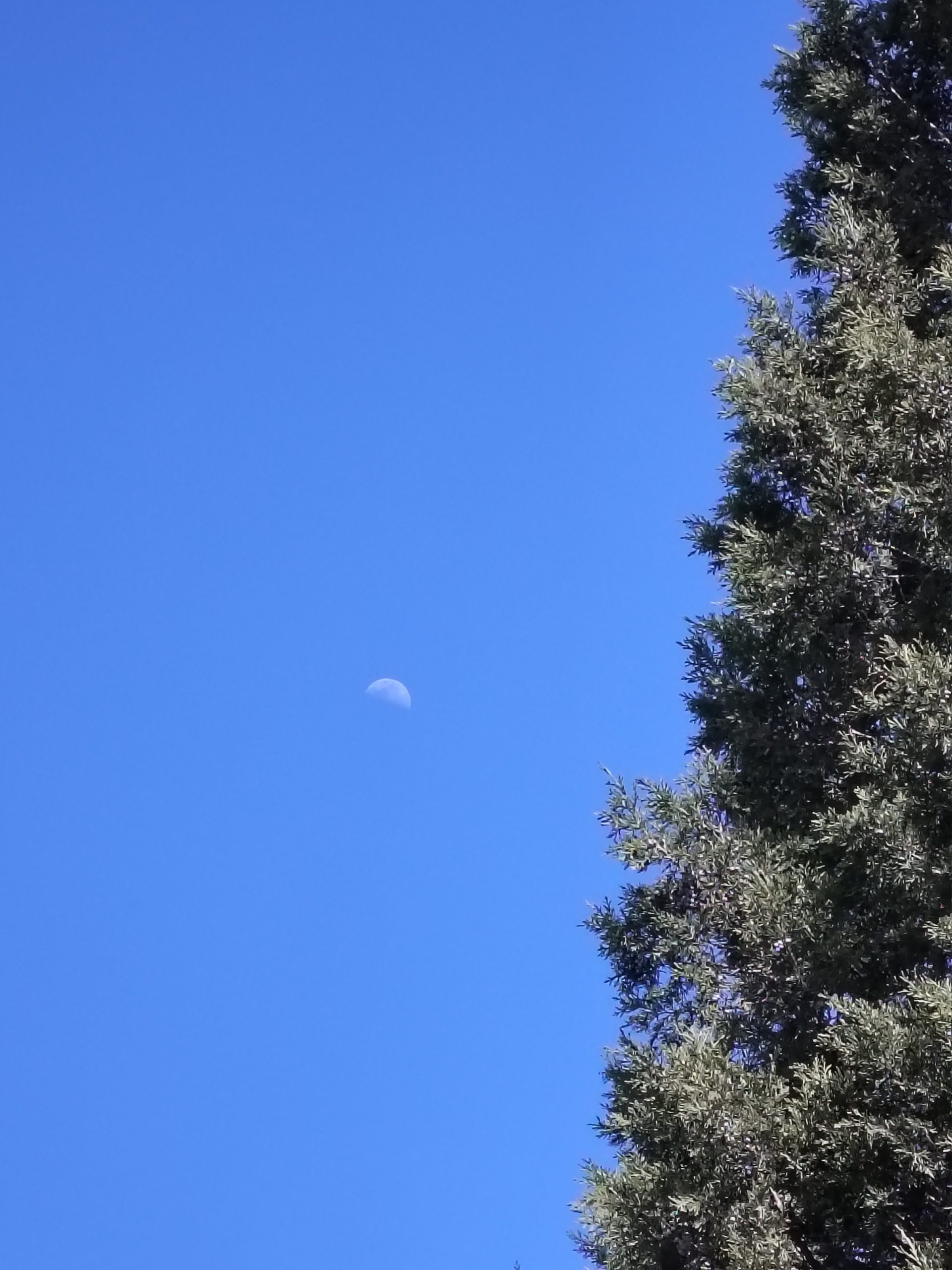 论坛使用指南-拟人圈