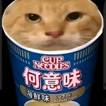 Rechte und Wissen.（德奥激洁）的头像-拟人圈