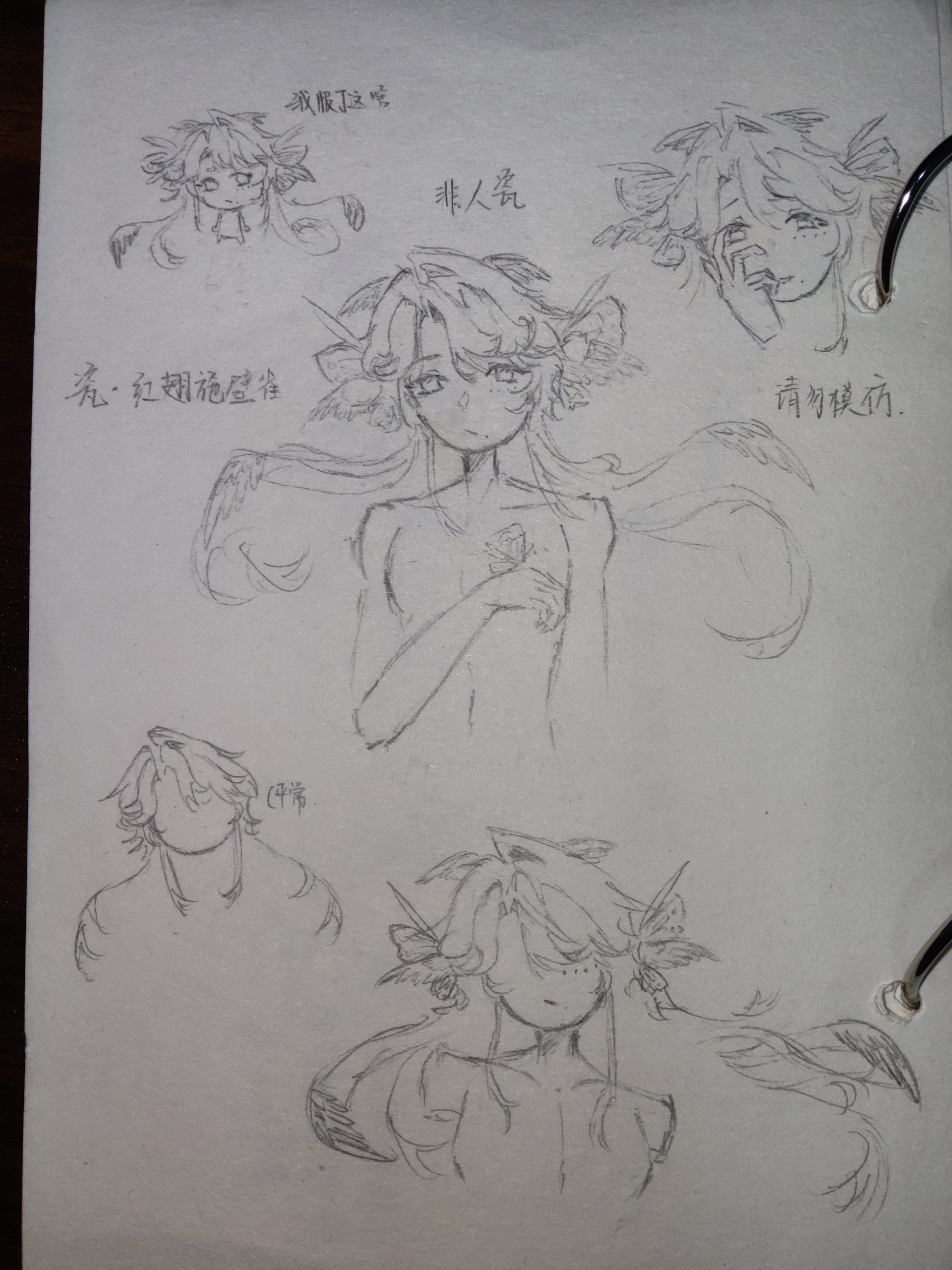 我撤回之前我说的话哈哈-拟人圈