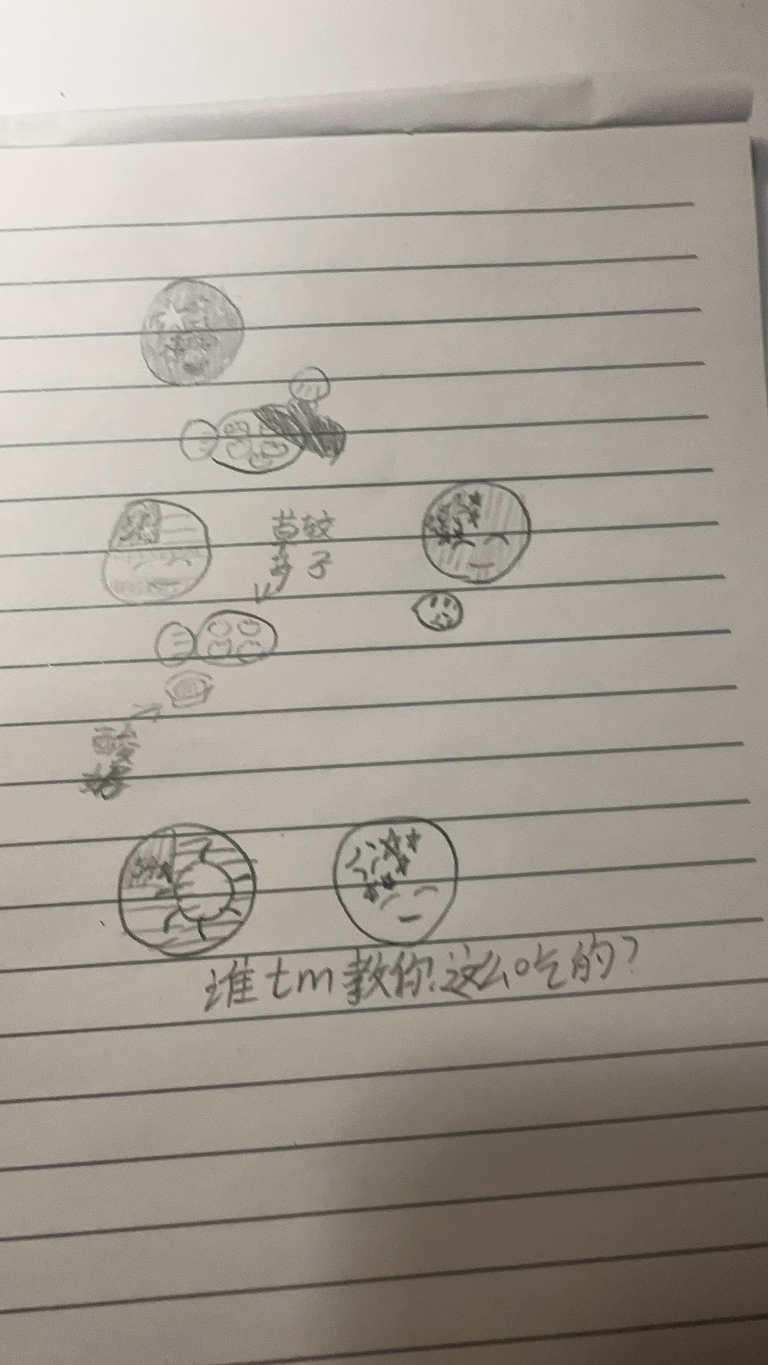 拟人圈