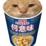 家产德奥牛逼克拉斯的头像-拟人圈