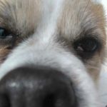 猫眼不是猫眼的头像-拟人圈