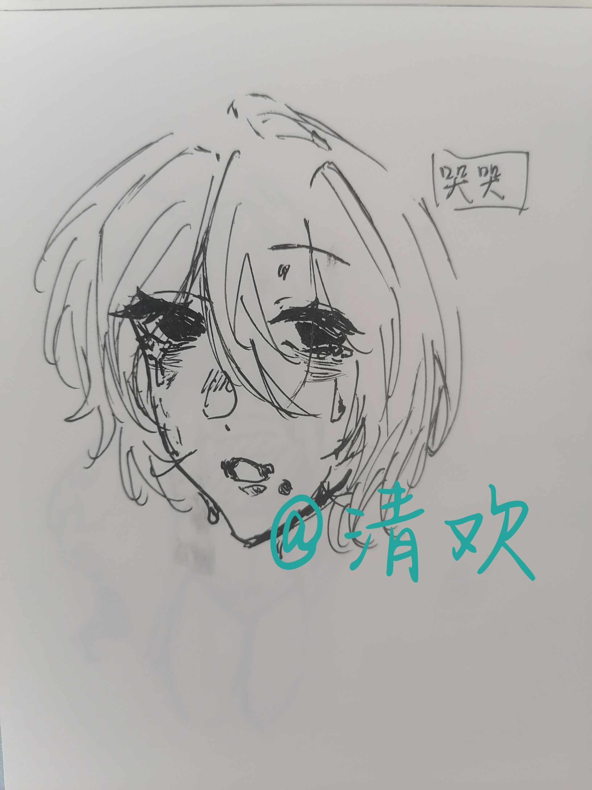 拟人圈