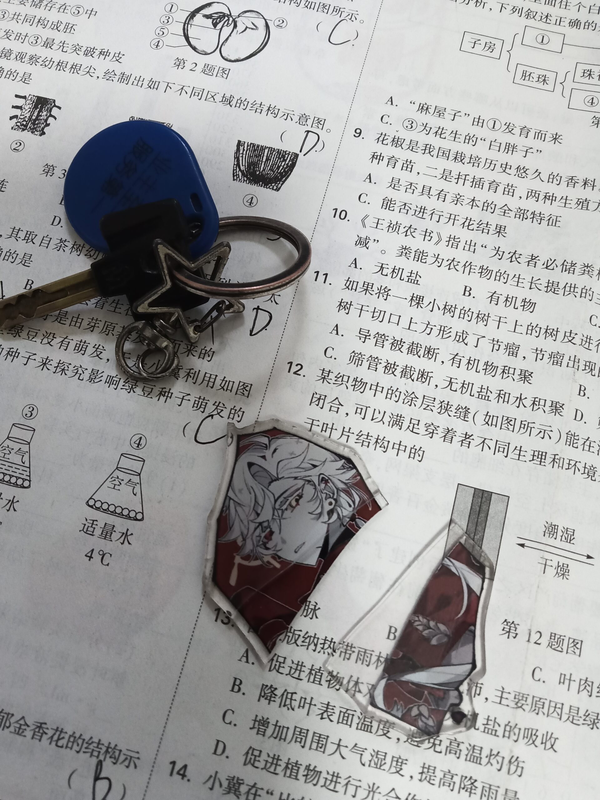 拟人圈
