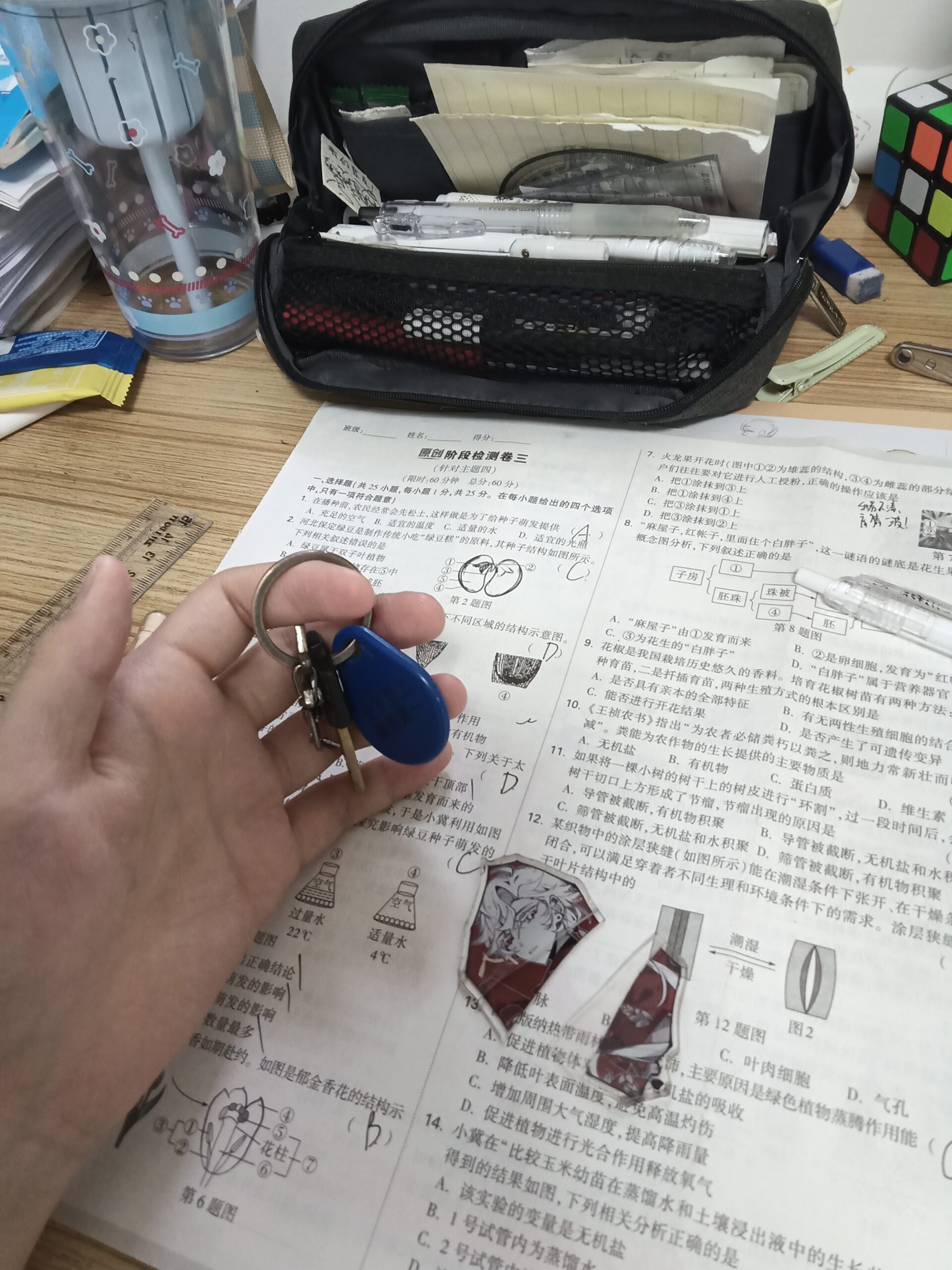 拟人圈