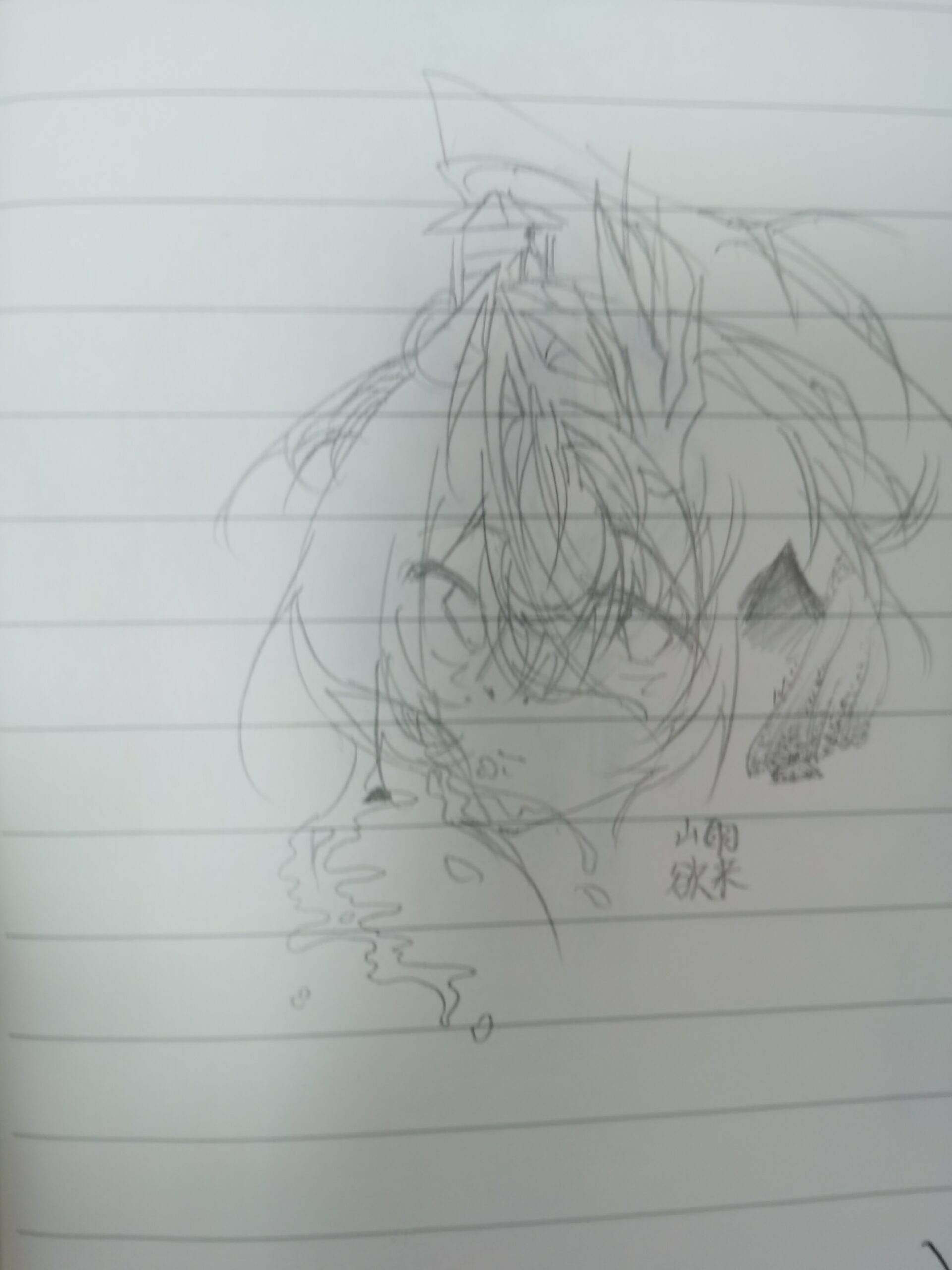 拟人圈