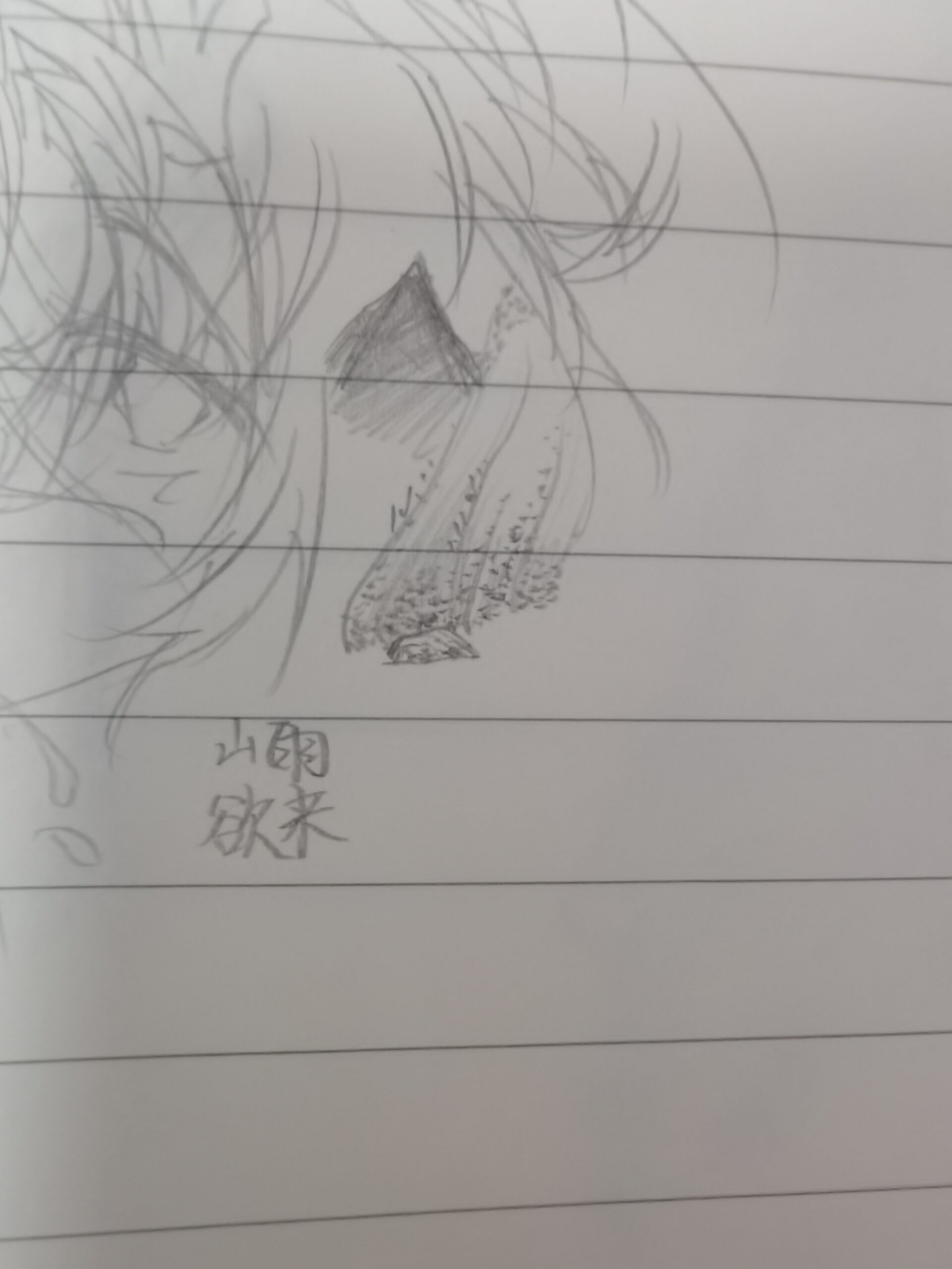 拟人圈