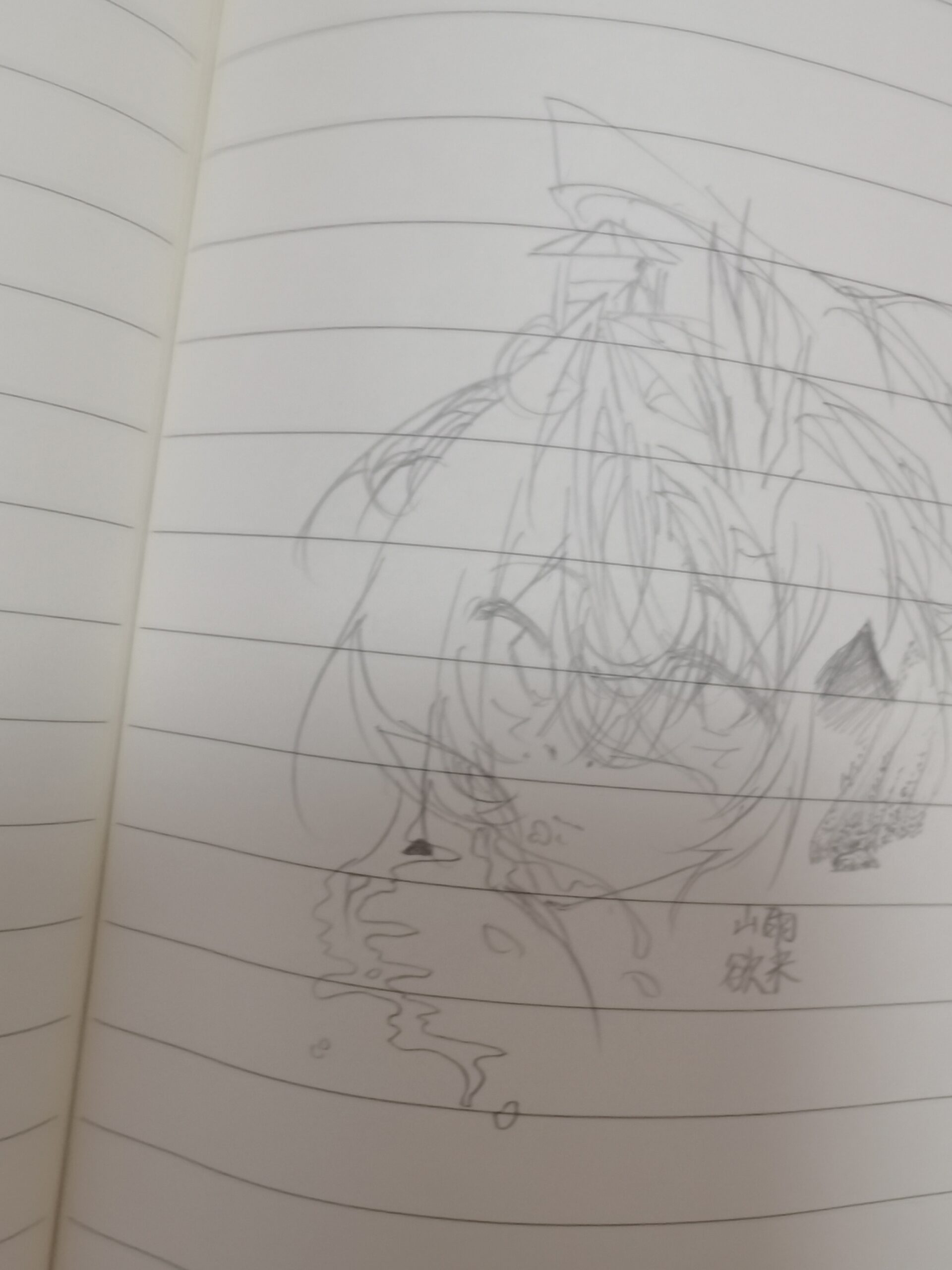 拟人圈