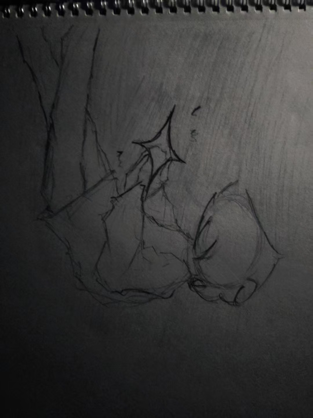拟人圈