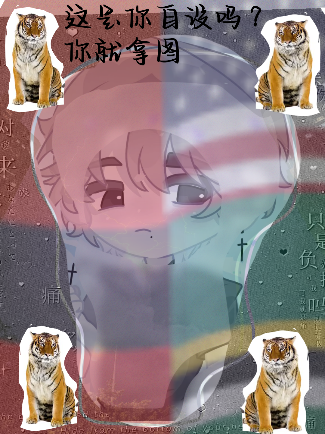 拟人圈