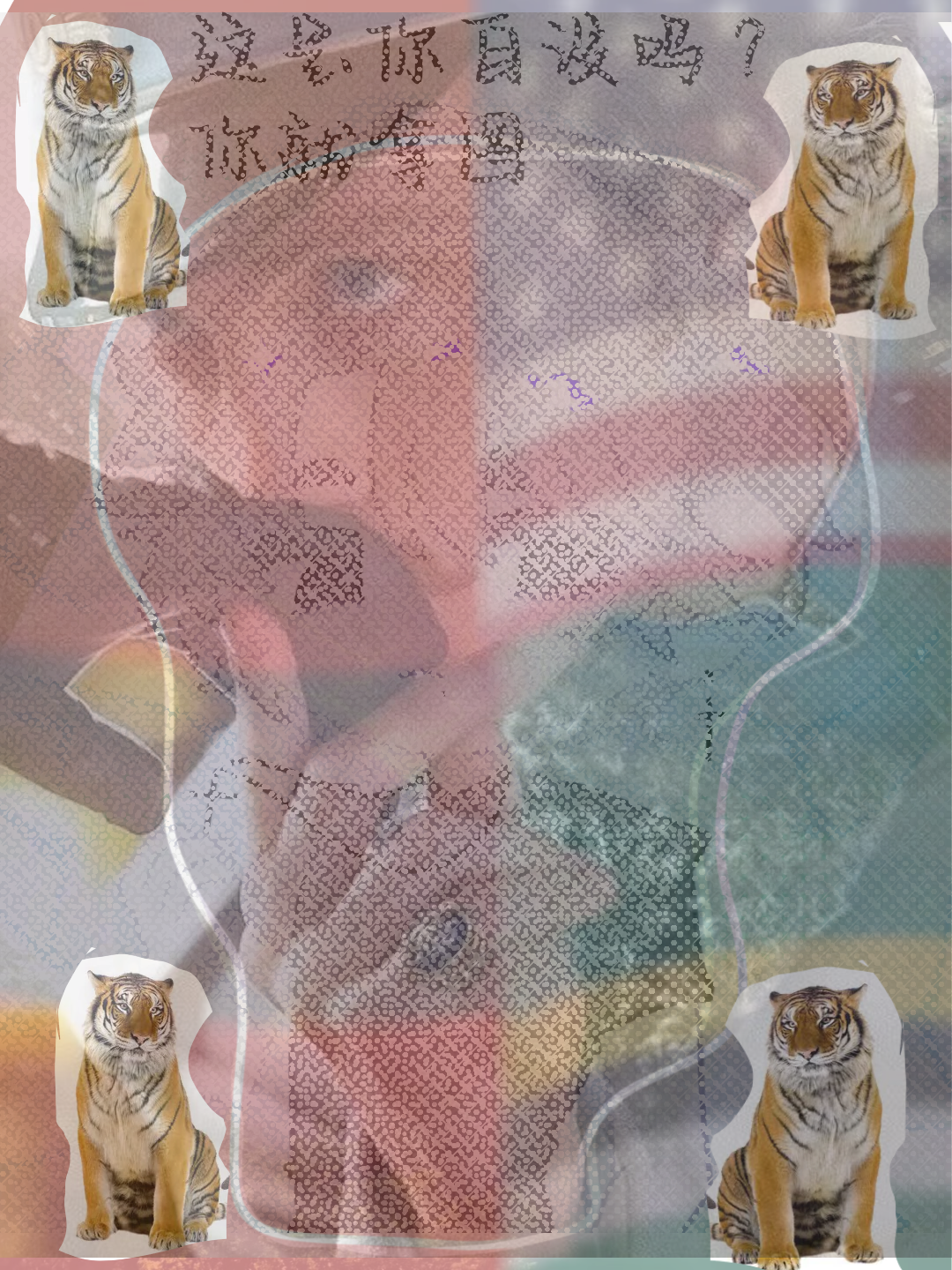 拟人圈