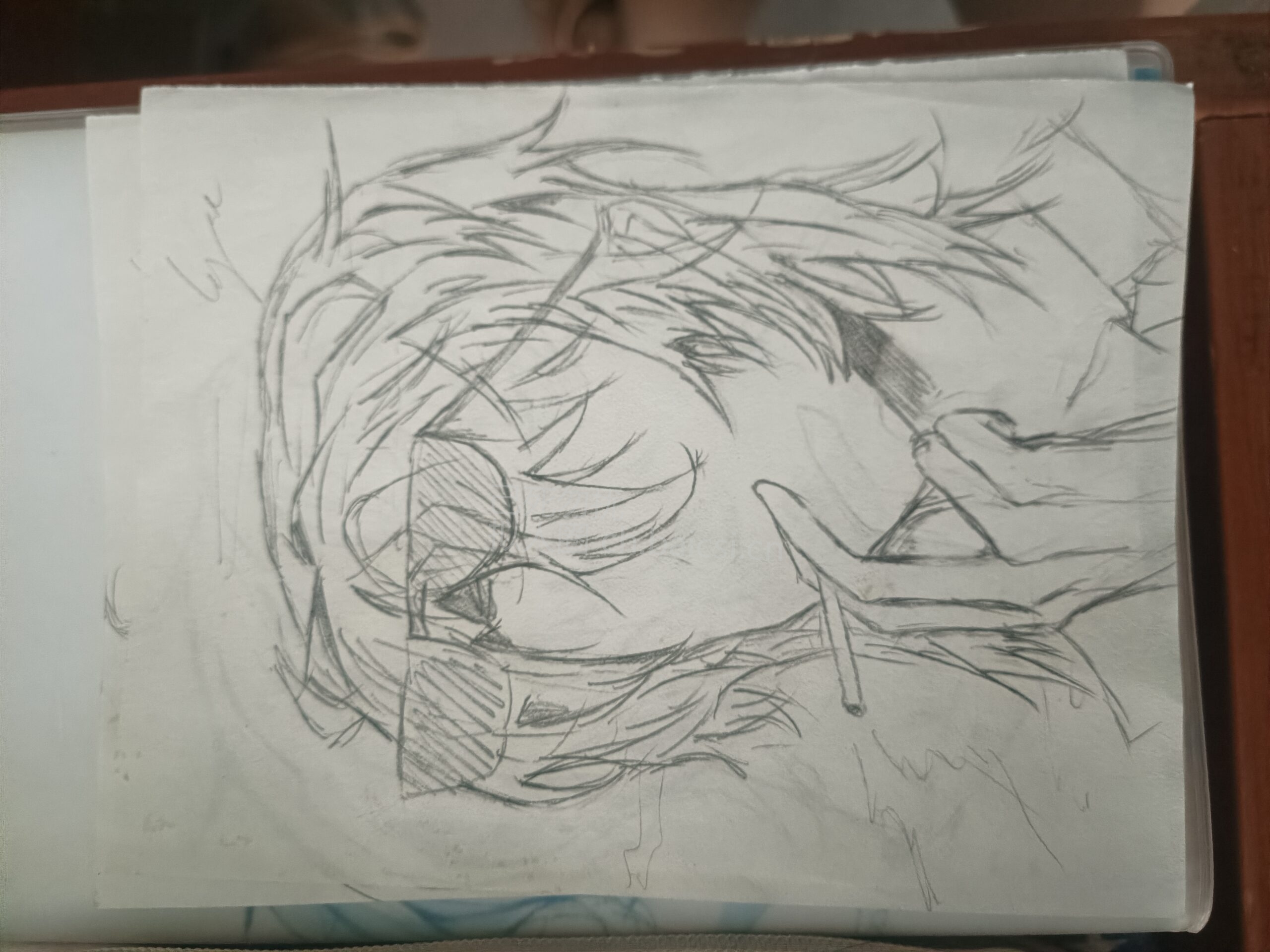 拟人圈