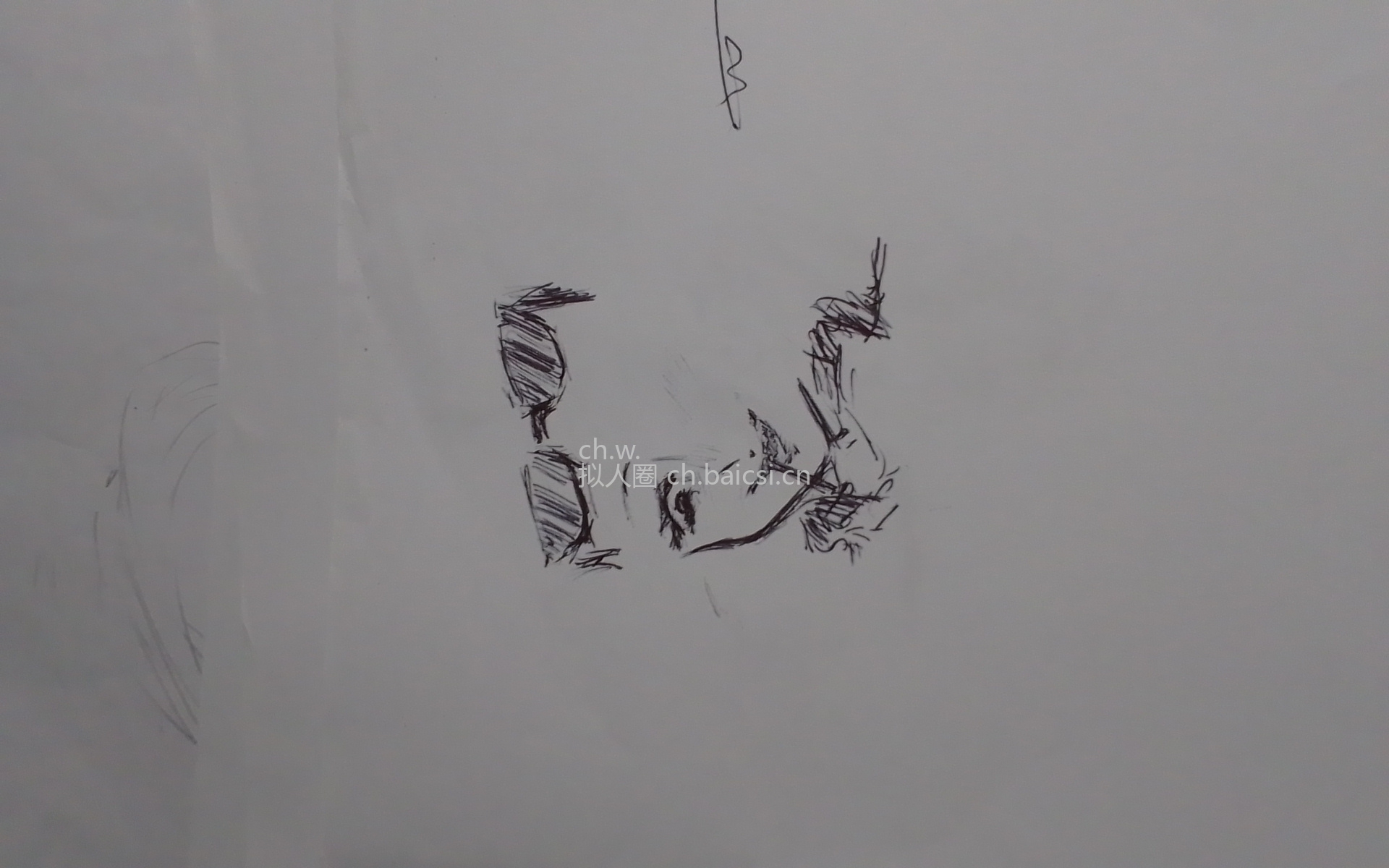 拟人圈
