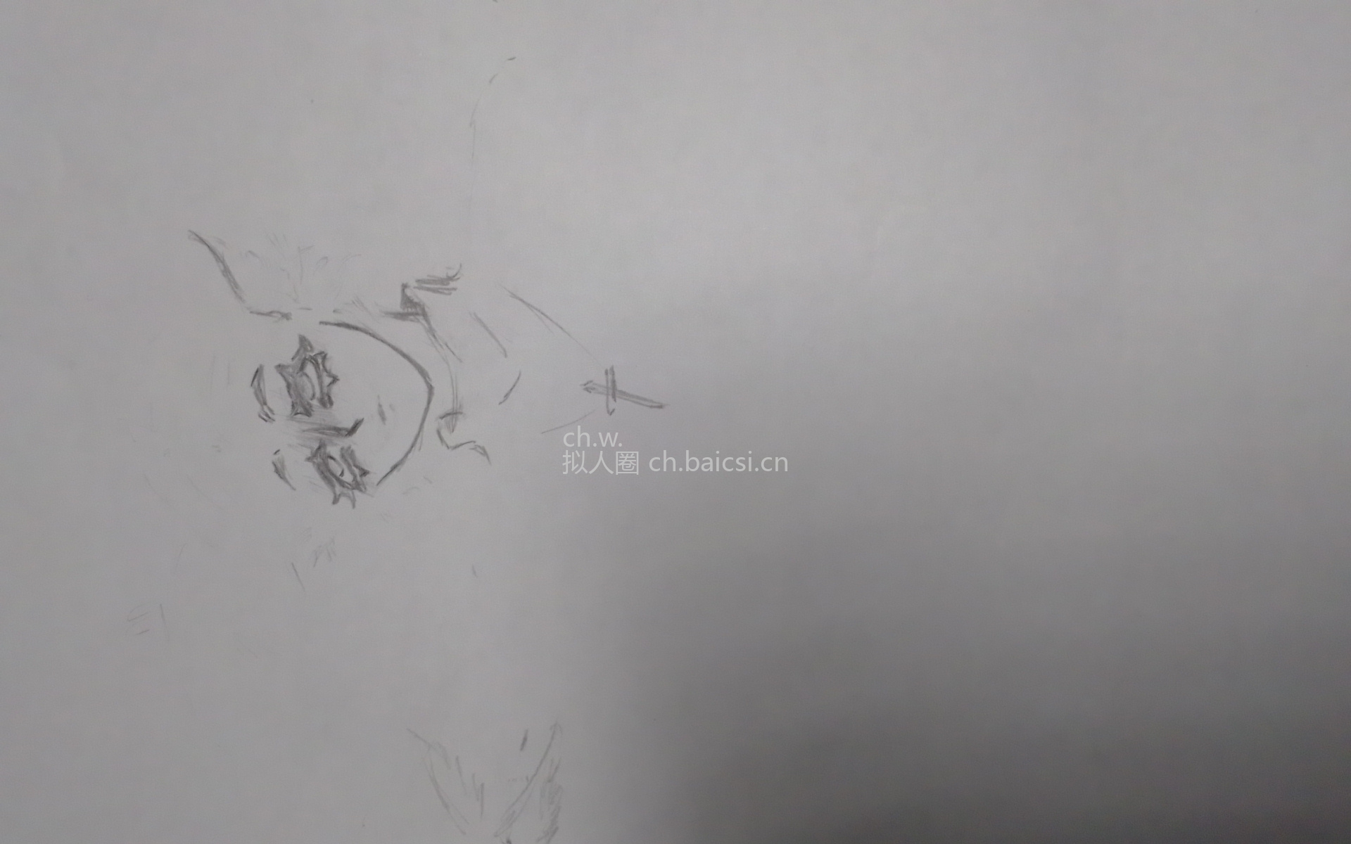 拟人圈