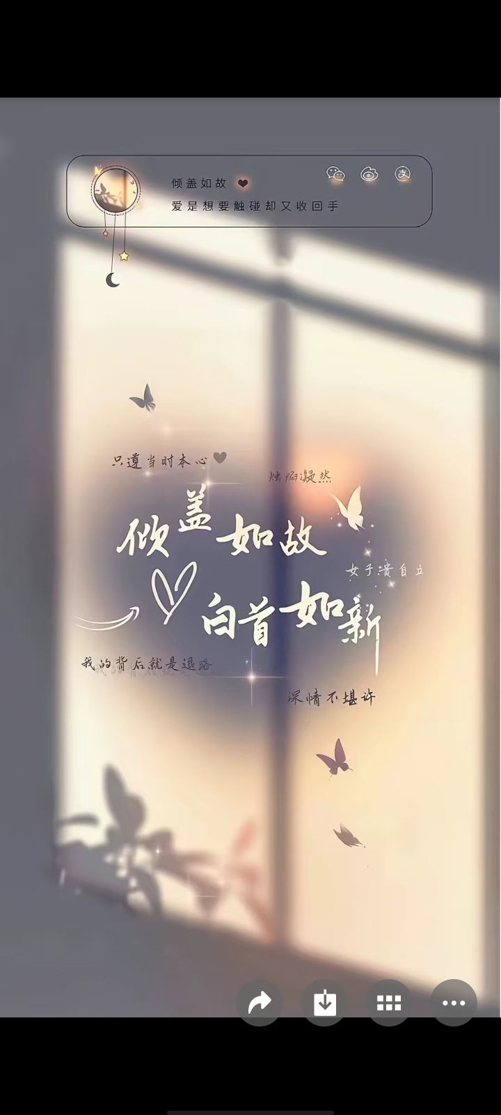 用户封面