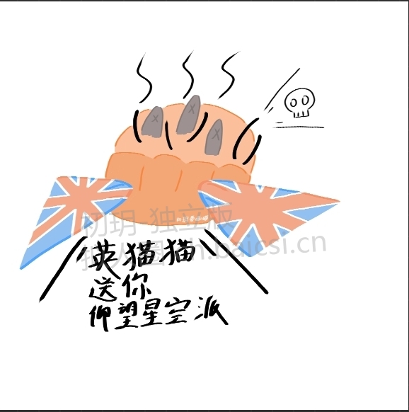 拟人圈