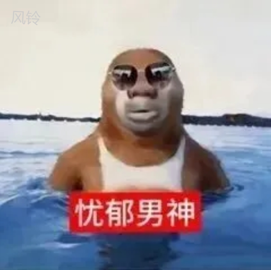 拟人圈