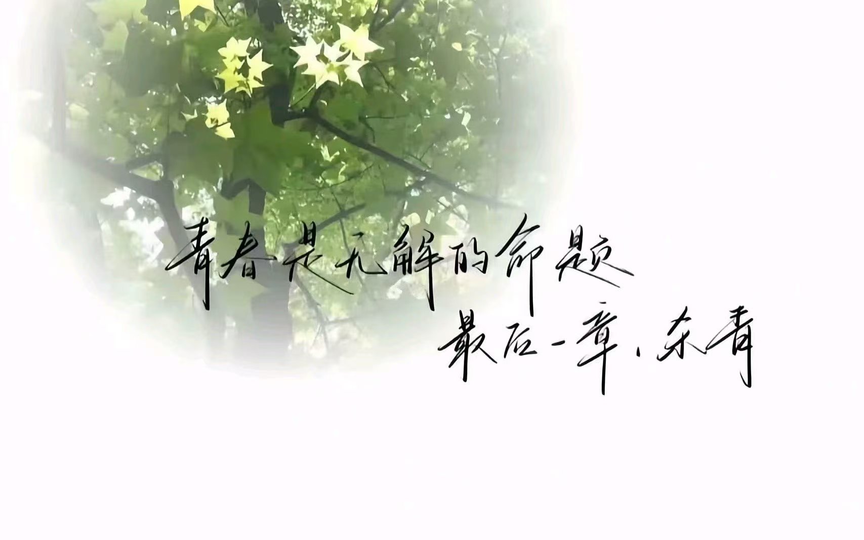用户封面