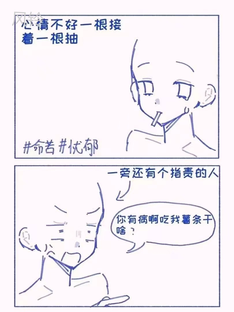 拟人圈