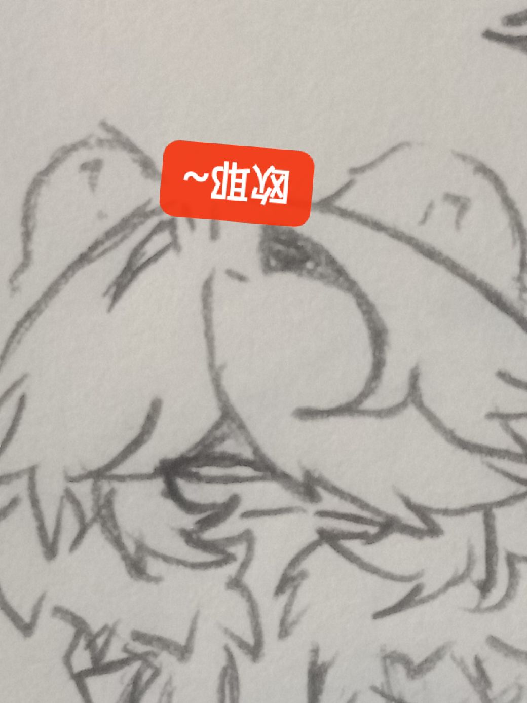 拟人圈