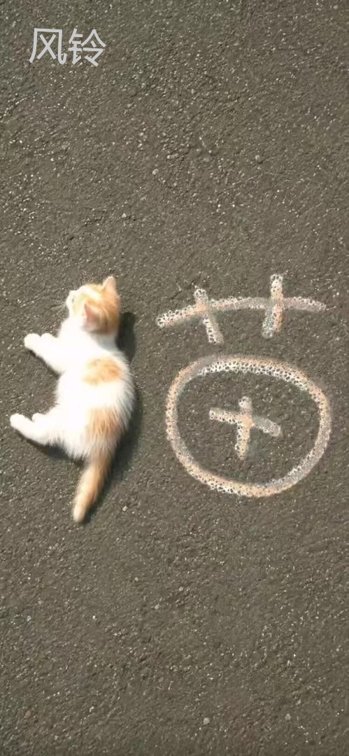 拟人圈