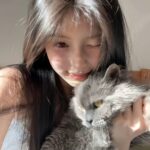 「emofullly」.若有汀霏的头像-拟人圈