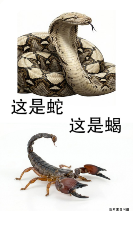 这是蛇蝎美人！-拟人圈