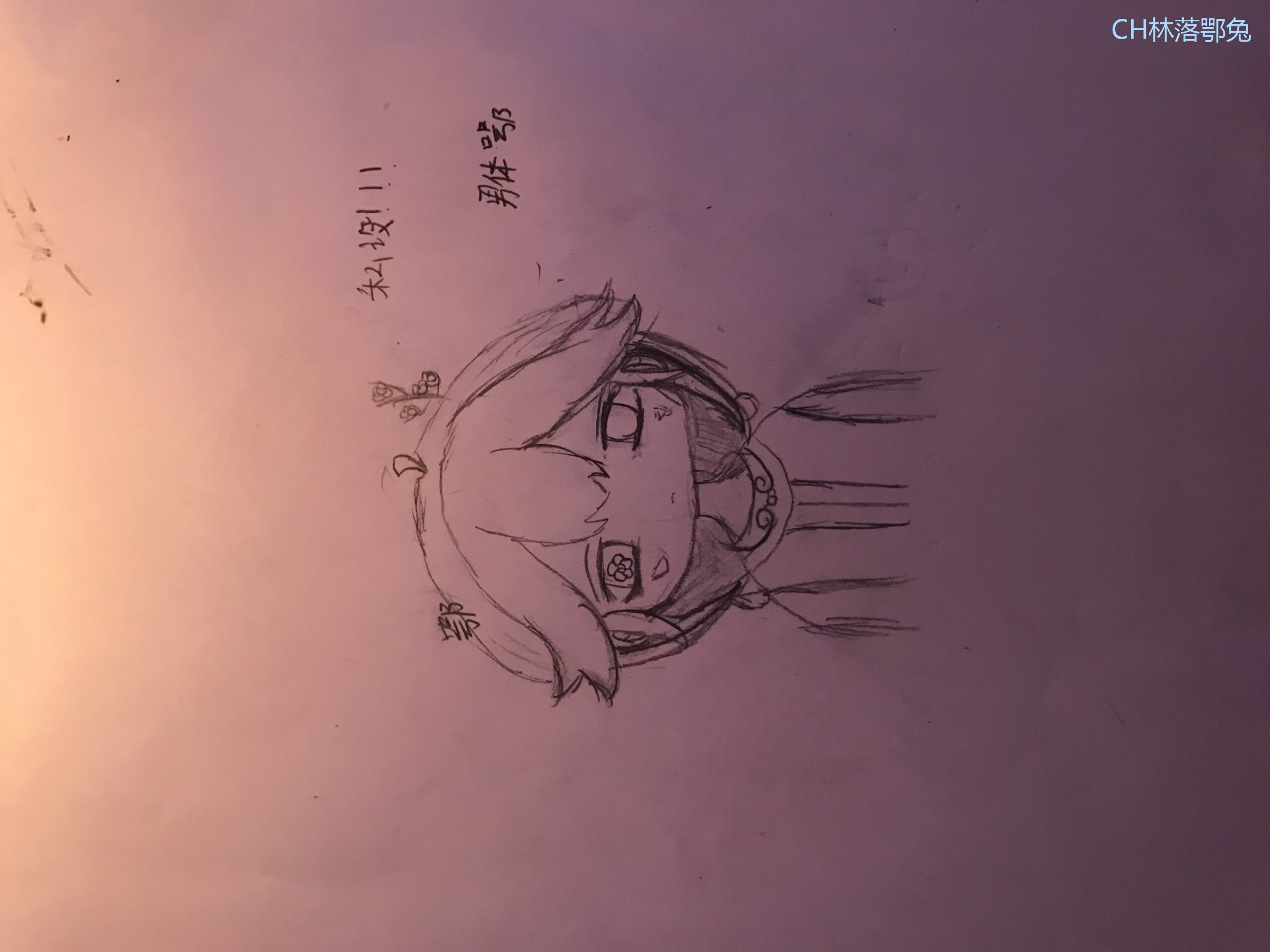 鄂私设-拟人圈